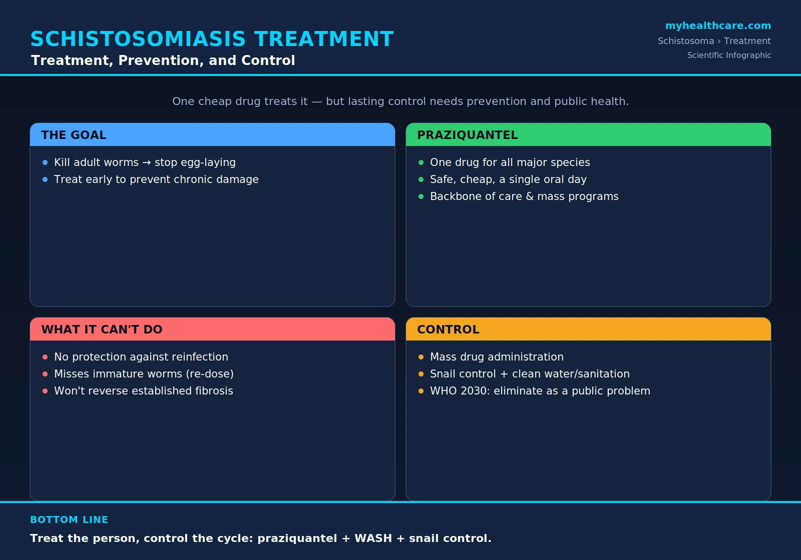 Schistosomiasis treatment and prevention — scientific infographic poster