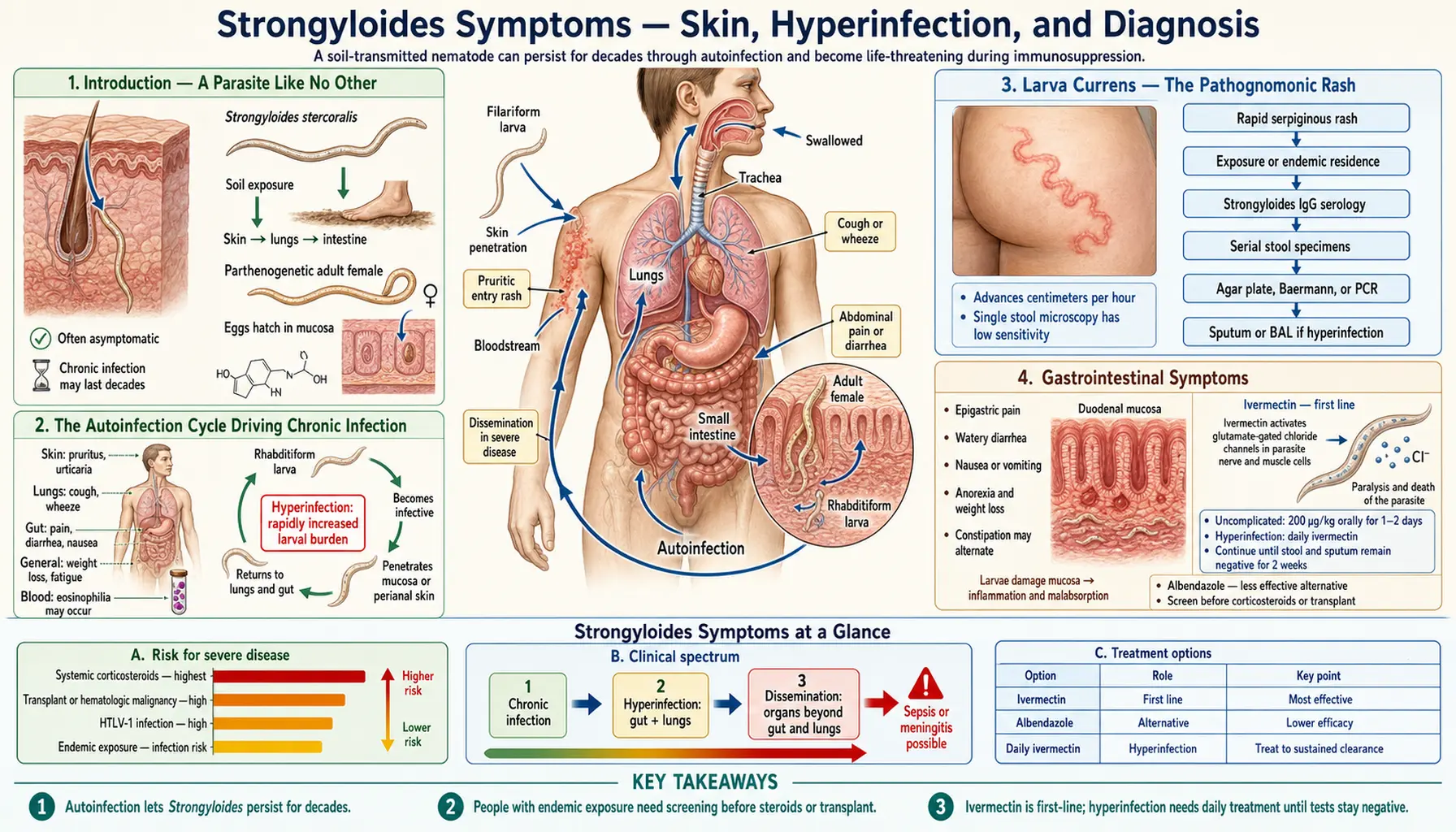 Symptoms — scientific infographic poster