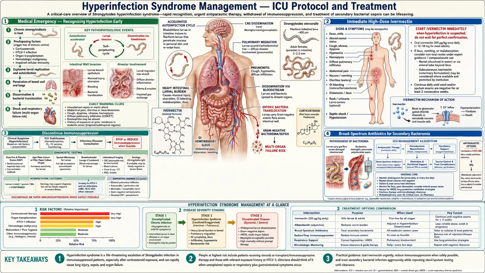 Hyperinfection Management — scientific infographic poster