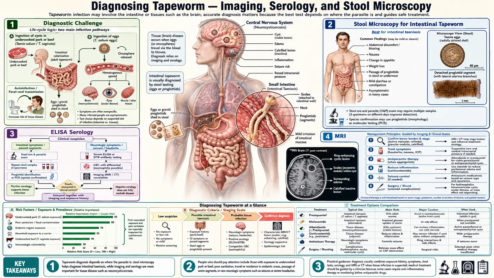 Diagnosis Imaging and Serology — scientific infographic poster