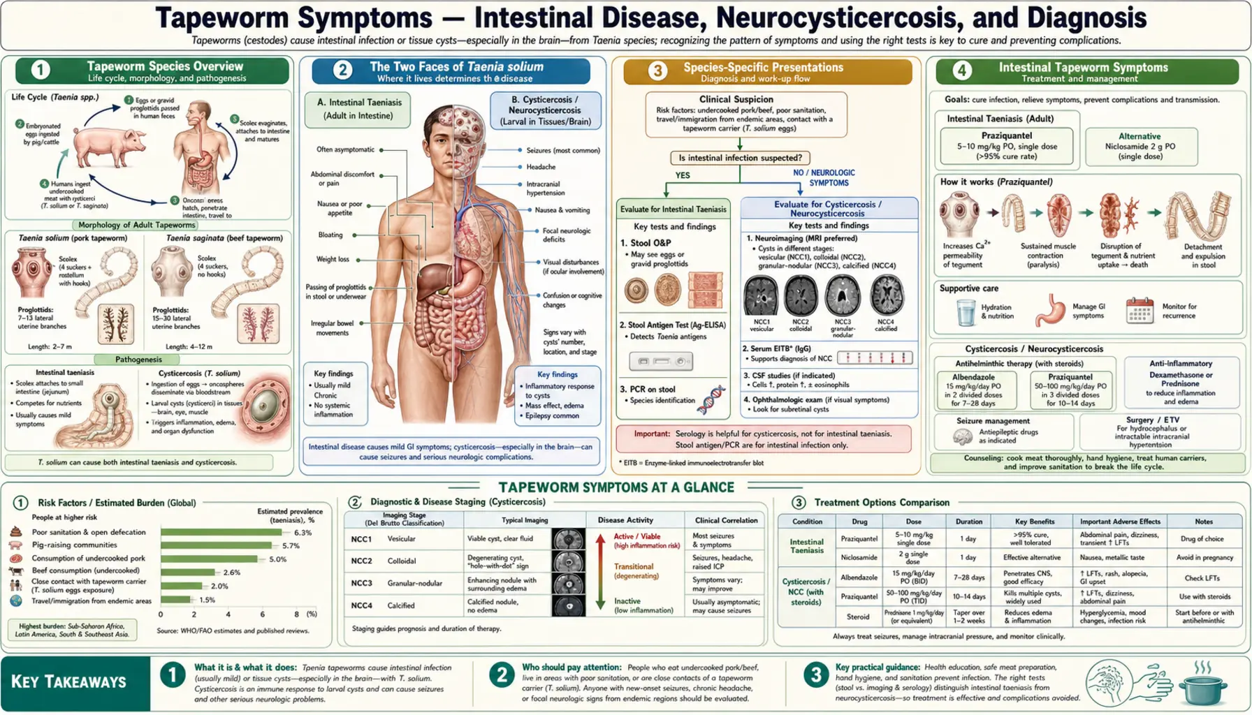 Symptoms — scientific infographic poster