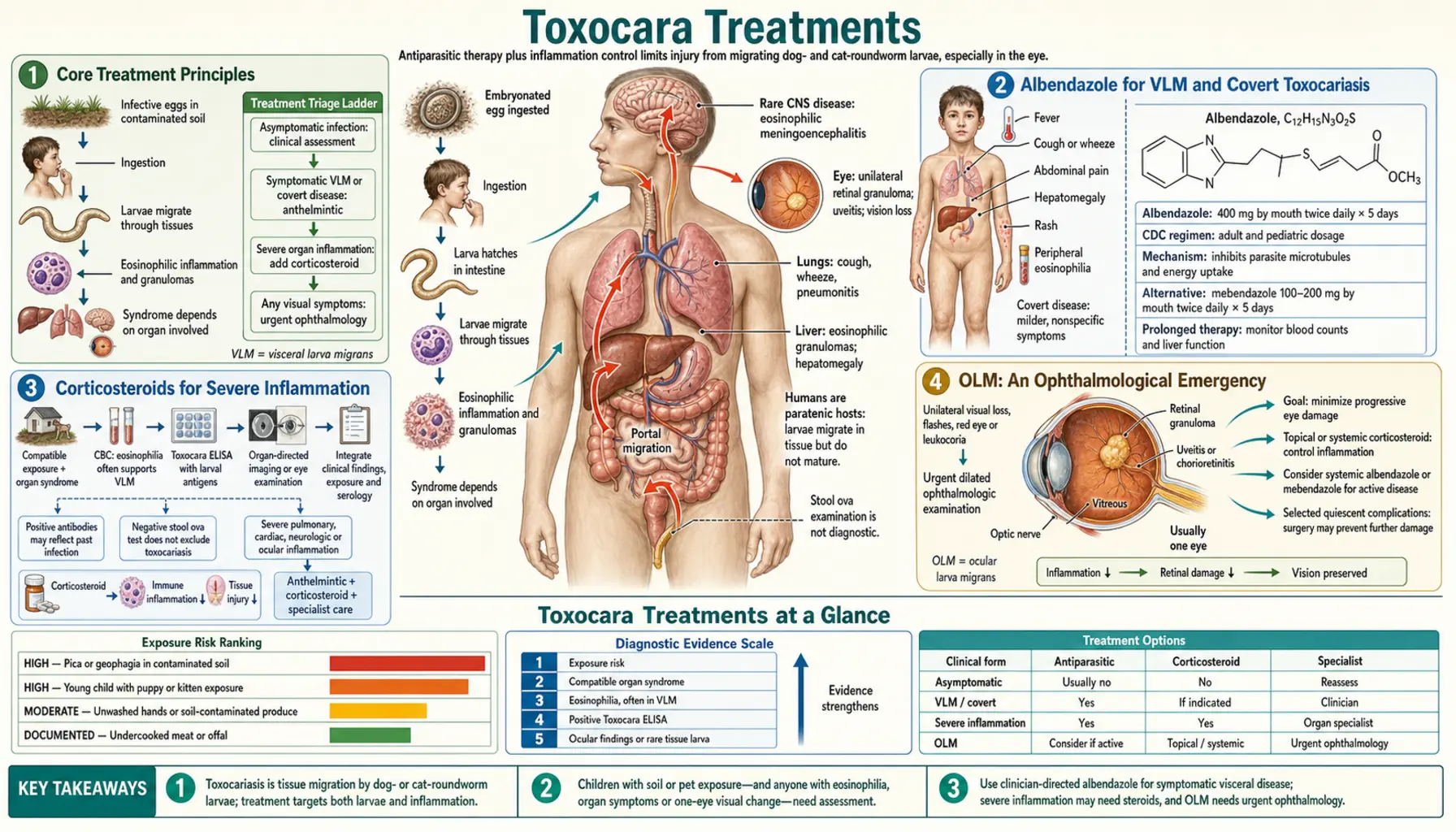 Treatments — scientific infographic poster
