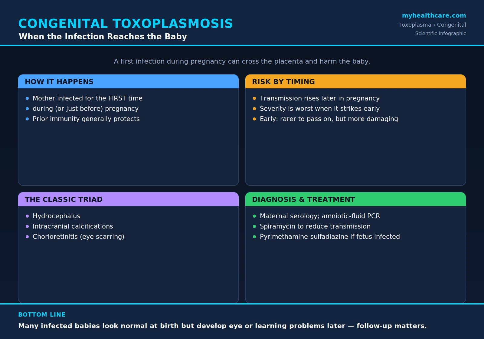 Congenital toxoplasmosis — scientific infographic poster