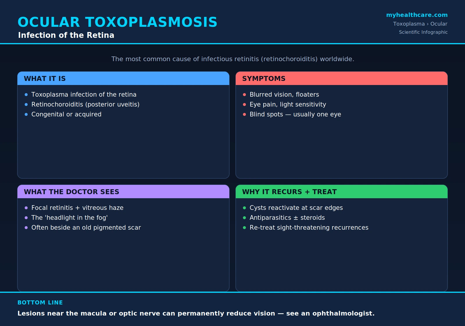 Ocular toxoplasmosis — scientific infographic poster