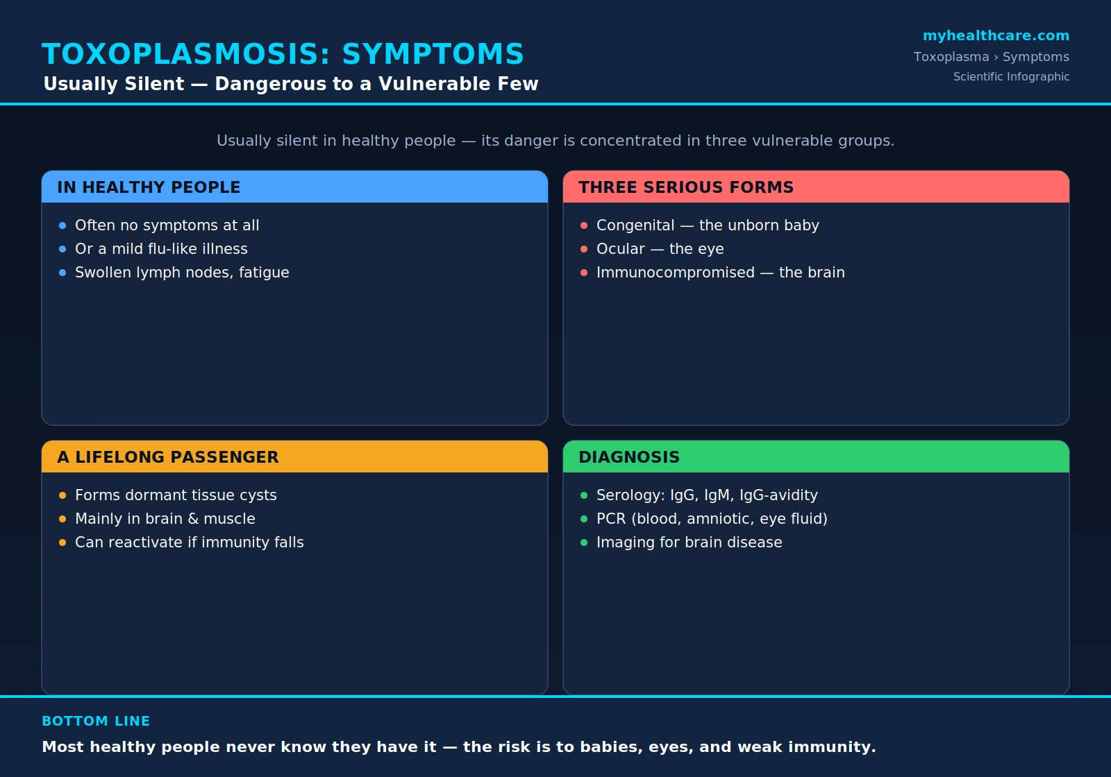 Toxoplasmosis symptoms and diagnosis — scientific infographic poster