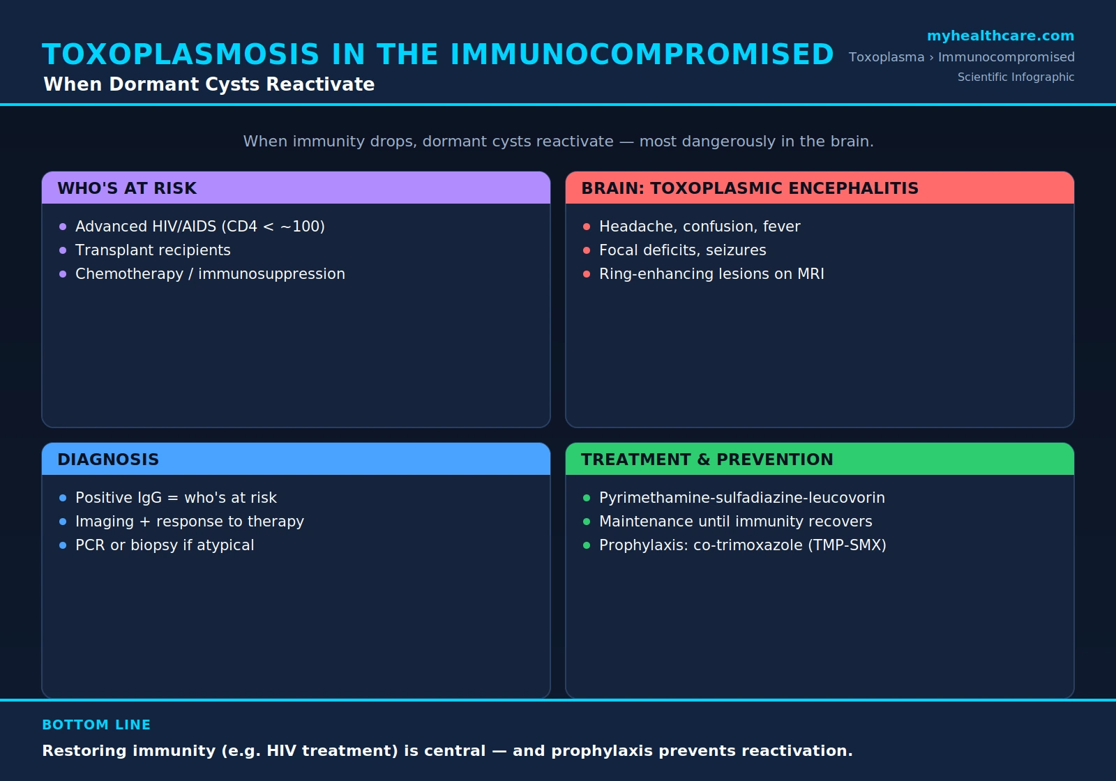 Toxoplasmosis in the immunocompromised — scientific infographic poster