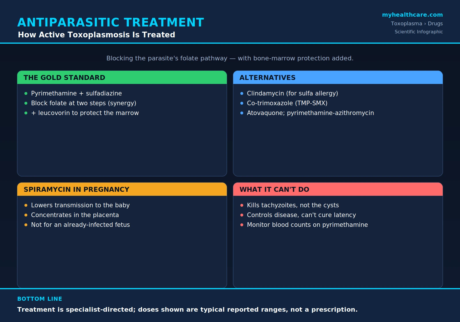 Antiparasitic treatment for toxoplasmosis — scientific infographic poster