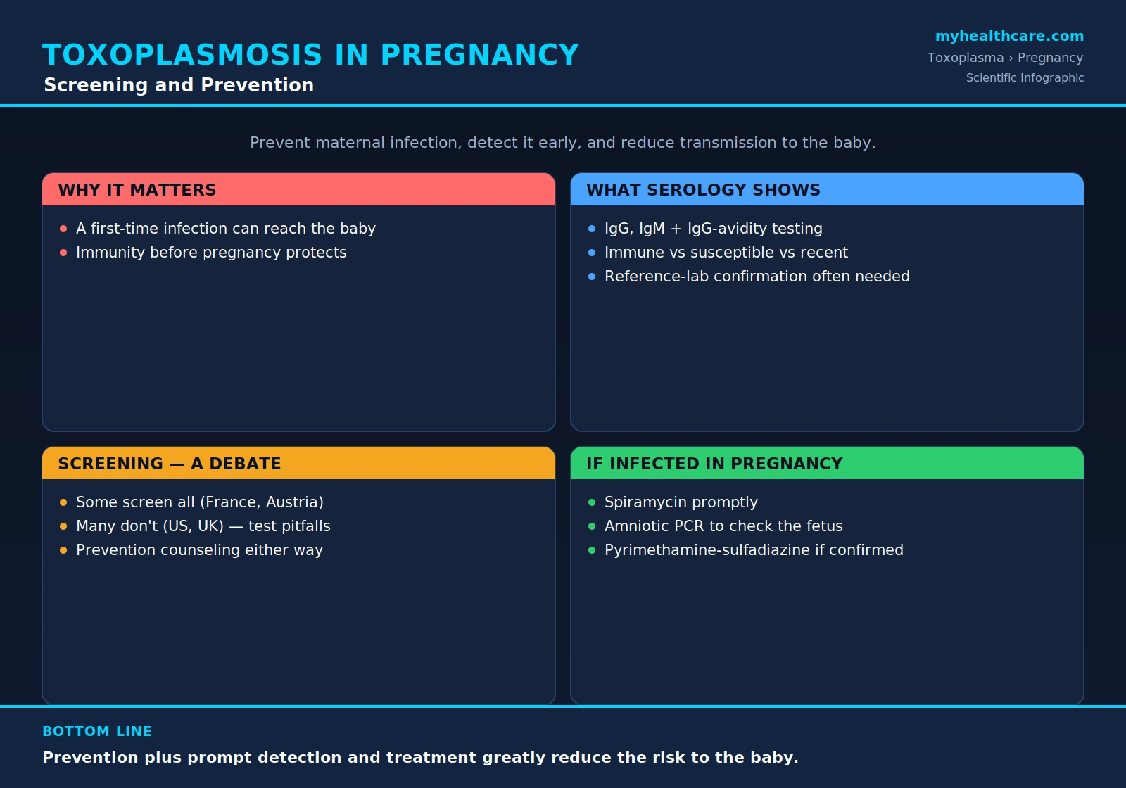 Toxoplasmosis in pregnancy: screening and prevention — scientific infographic poster