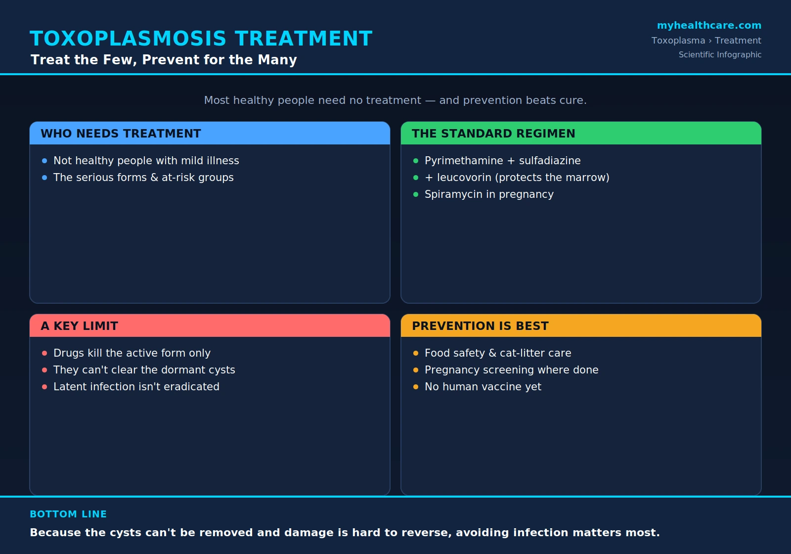 Toxoplasmosis treatment and prevention — scientific infographic poster