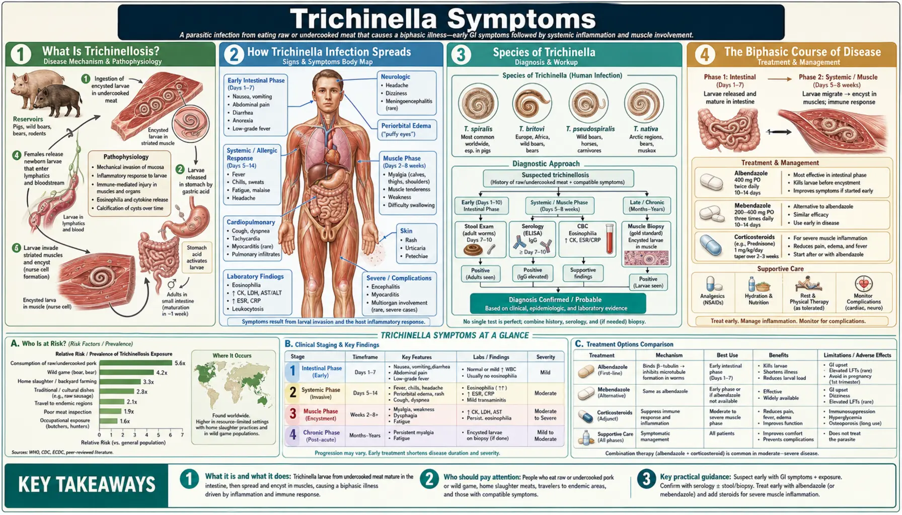 Symptoms — scientific infographic poster