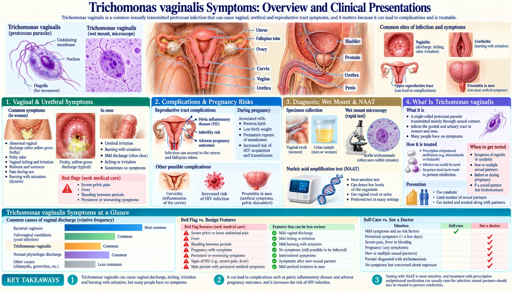 Symptoms — scientific infographic poster