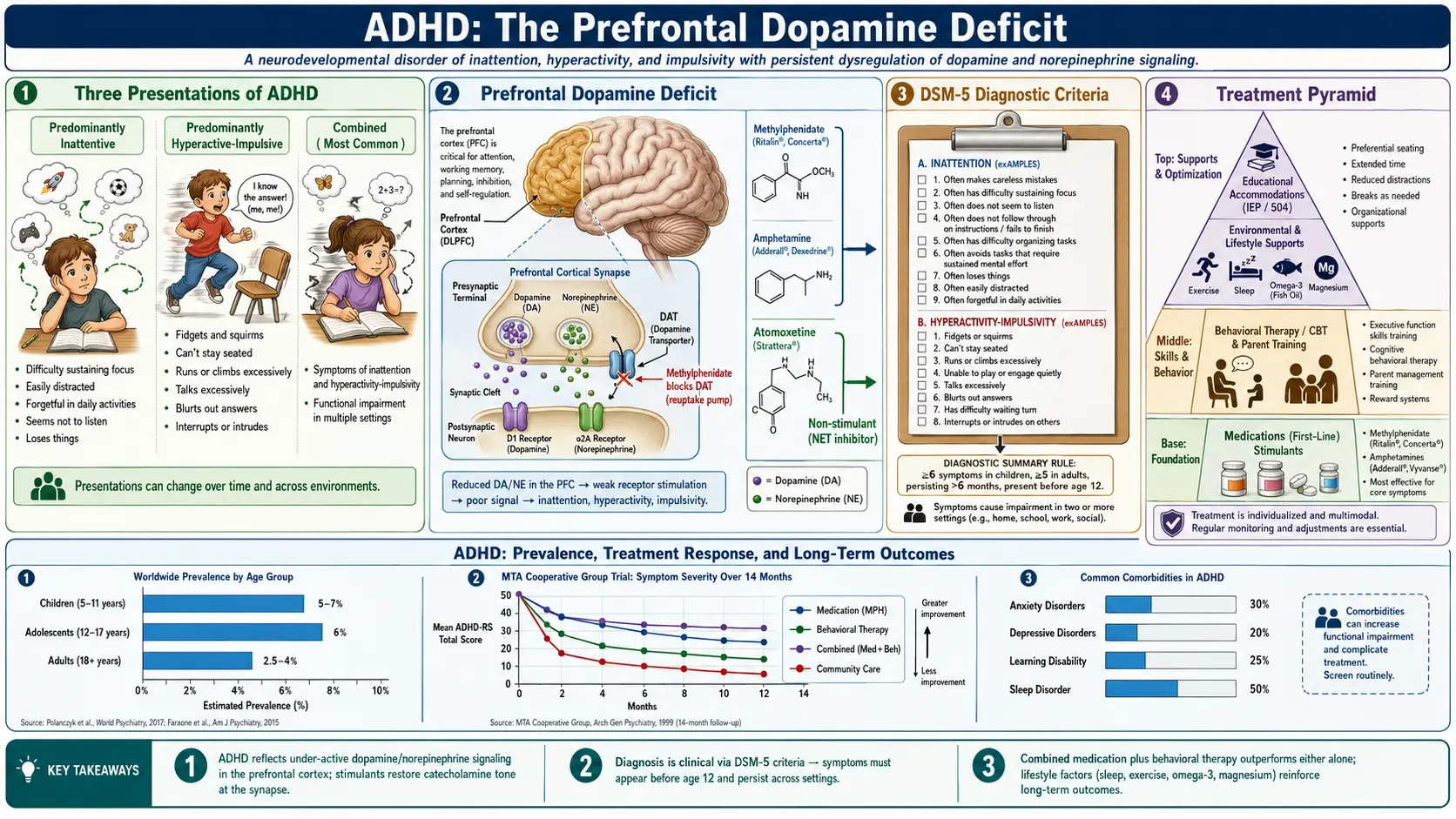 ADHD — scientific infographic poster