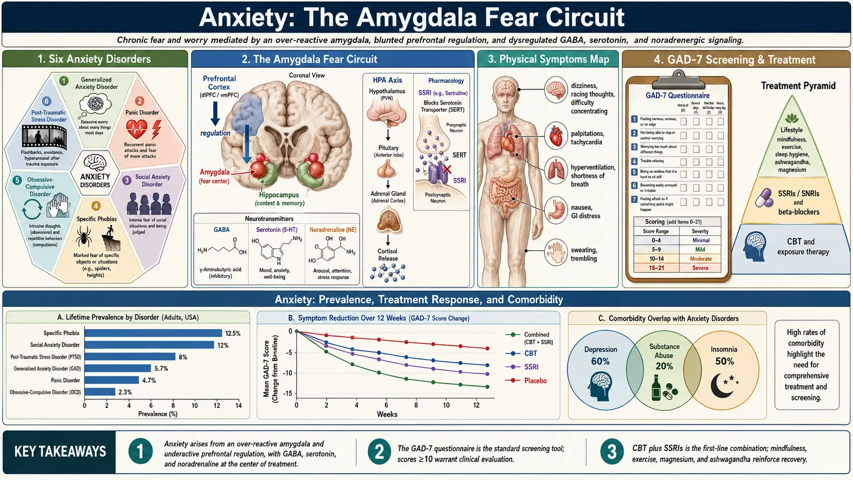 Anxiety — scientific infographic poster