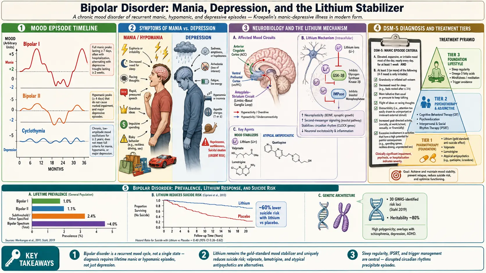 Bipolar Disorder — scientific infographic poster