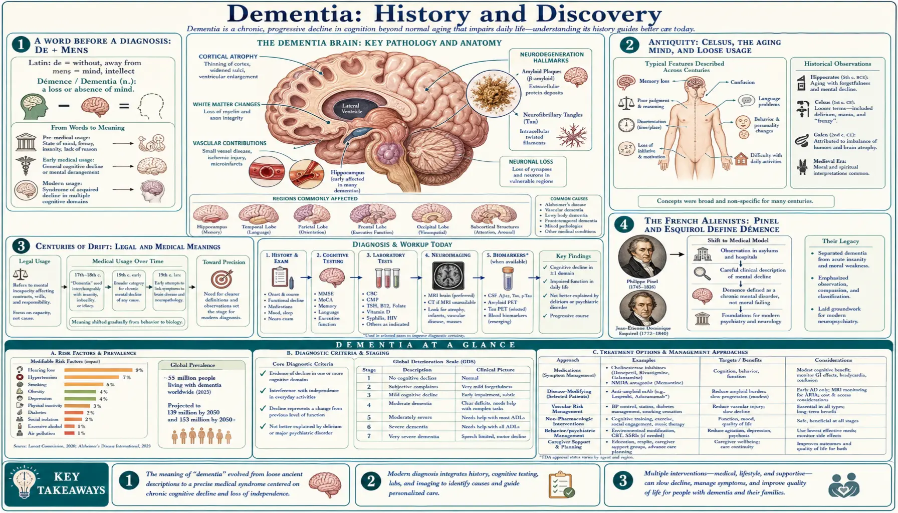 History — scientific infographic poster