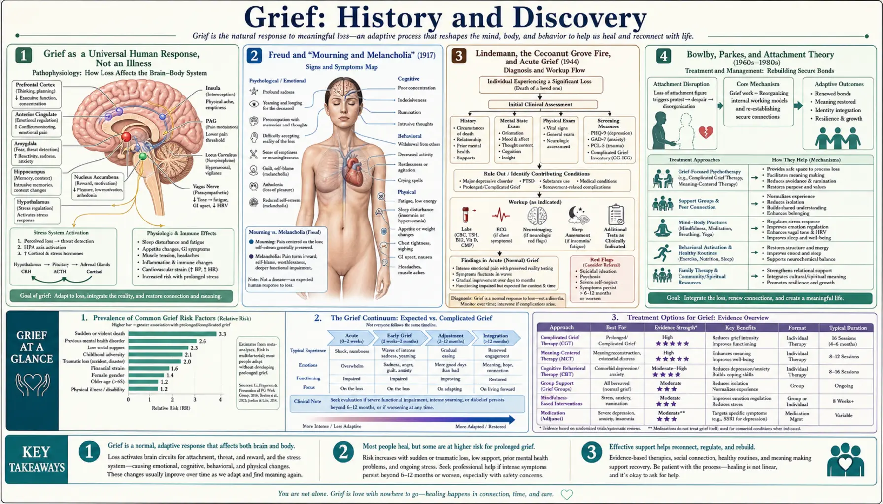 History — scientific infographic poster