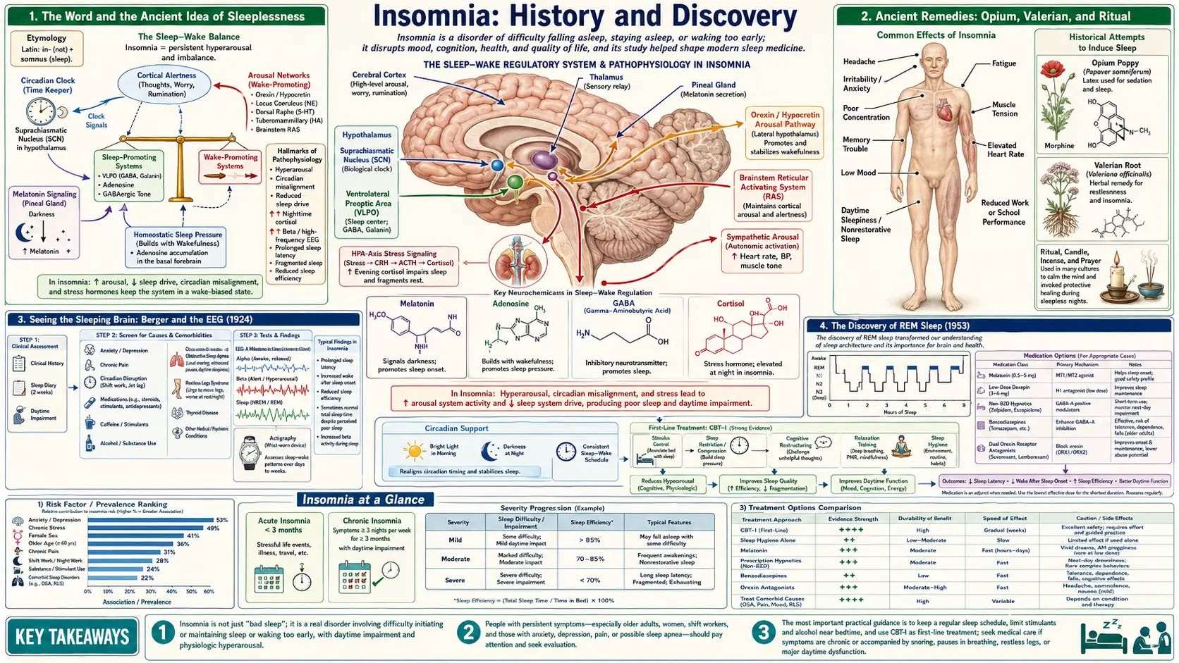 History — scientific infographic poster