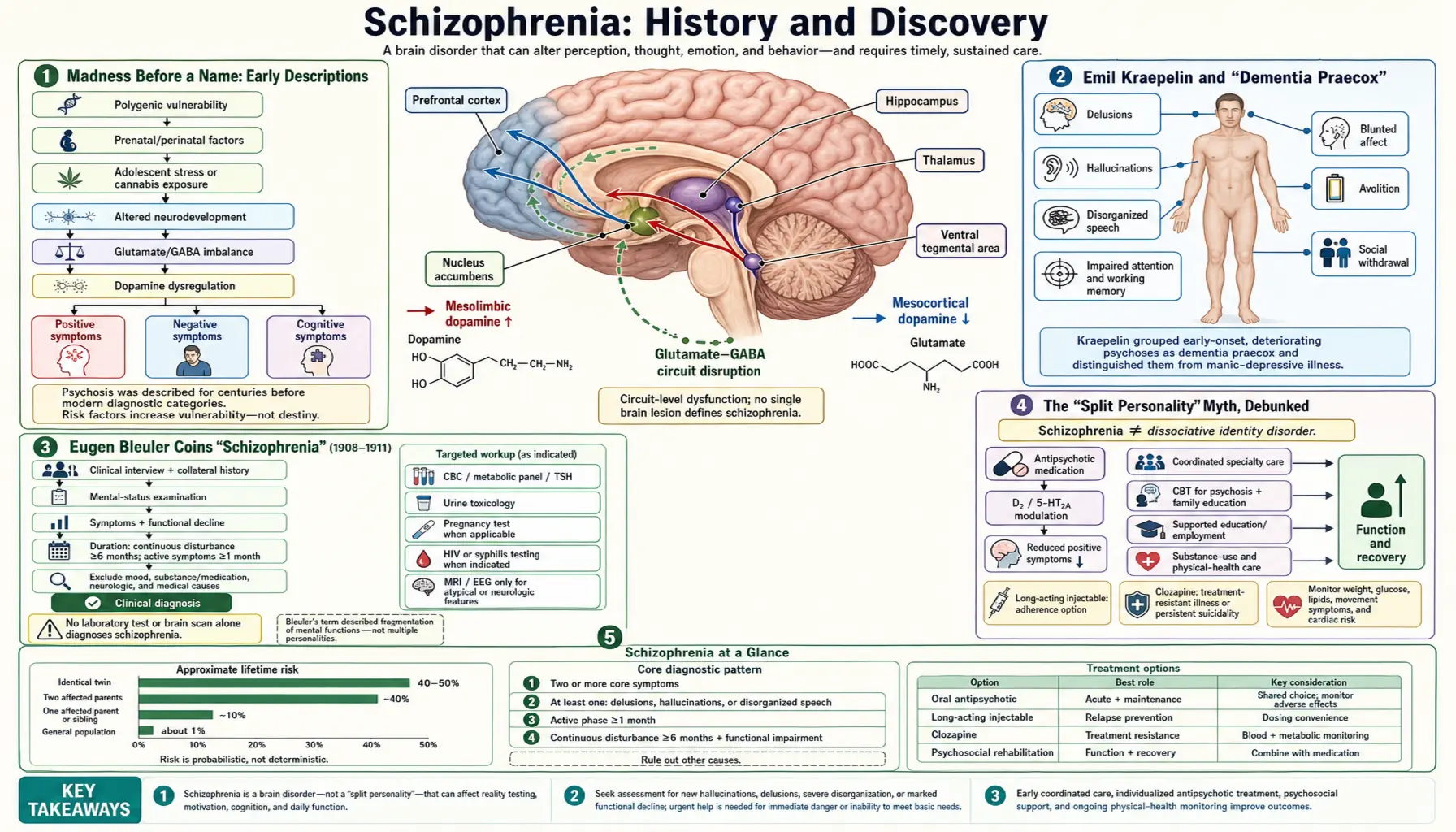 History — scientific infographic poster