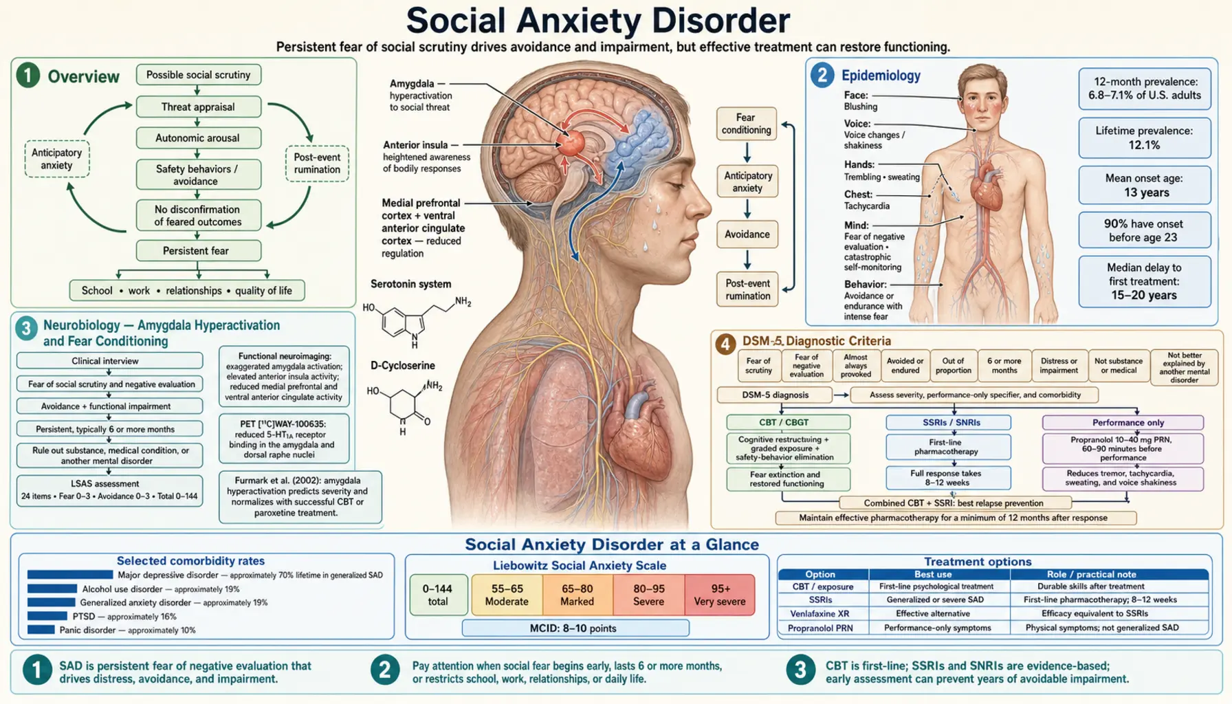 Social Anxiety Disorder — scientific infographic poster