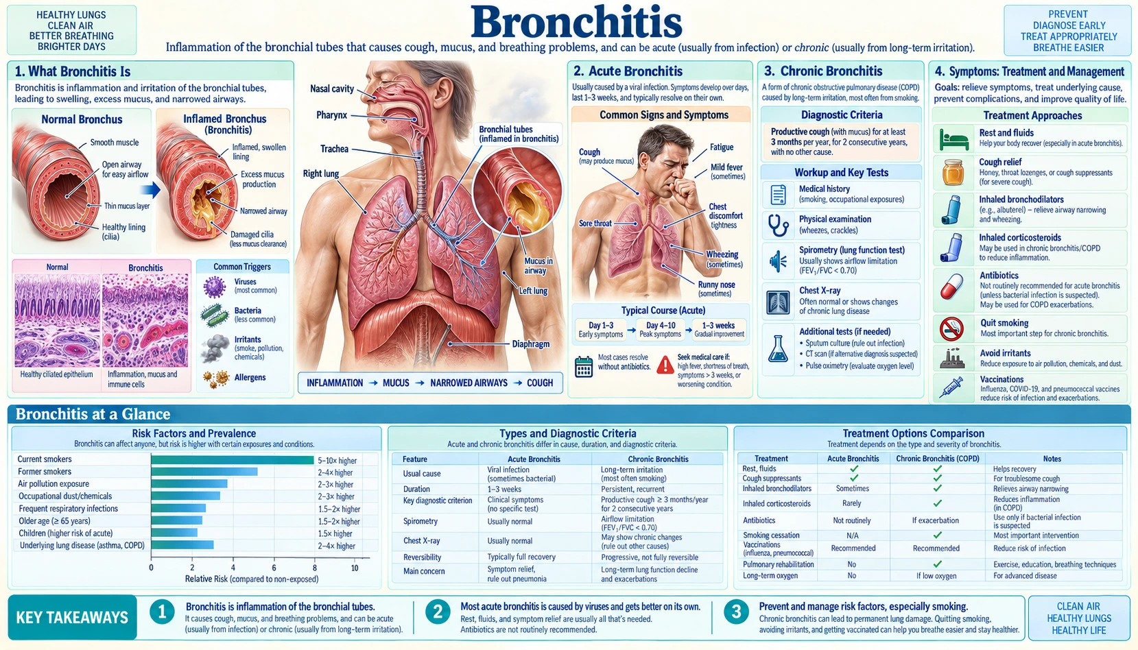 Bronchitis — scientific infographic poster
