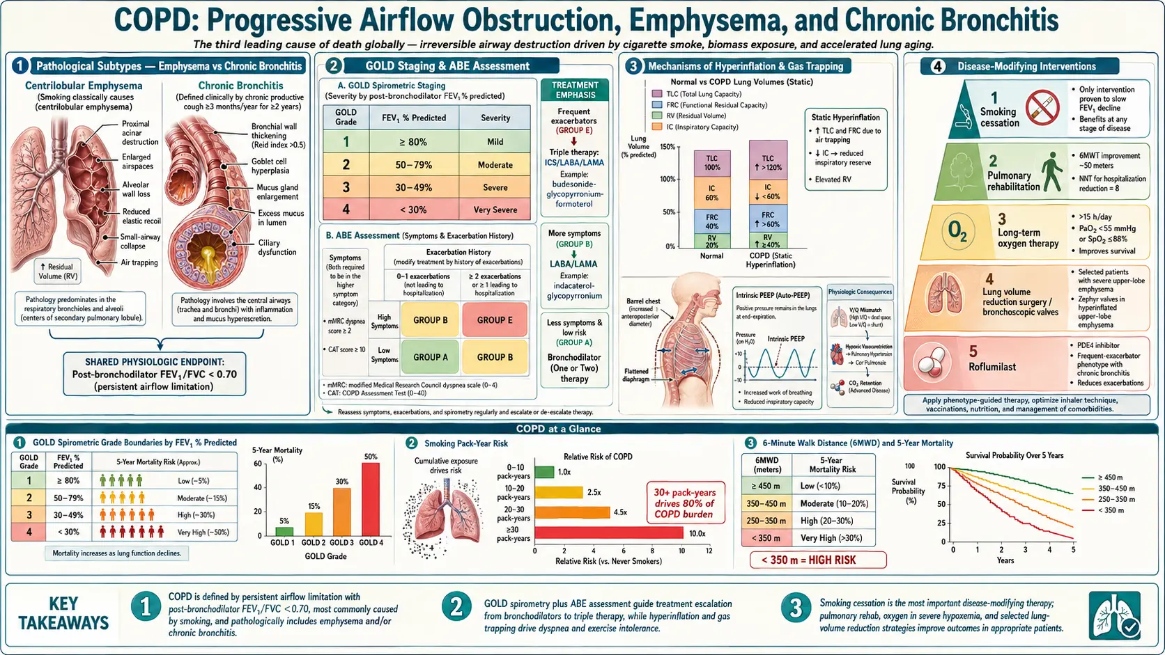 COPD — scientific infographic poster