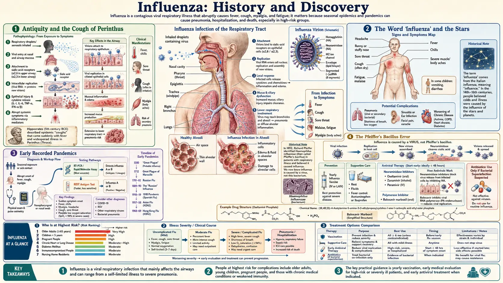 History — scientific infographic poster
