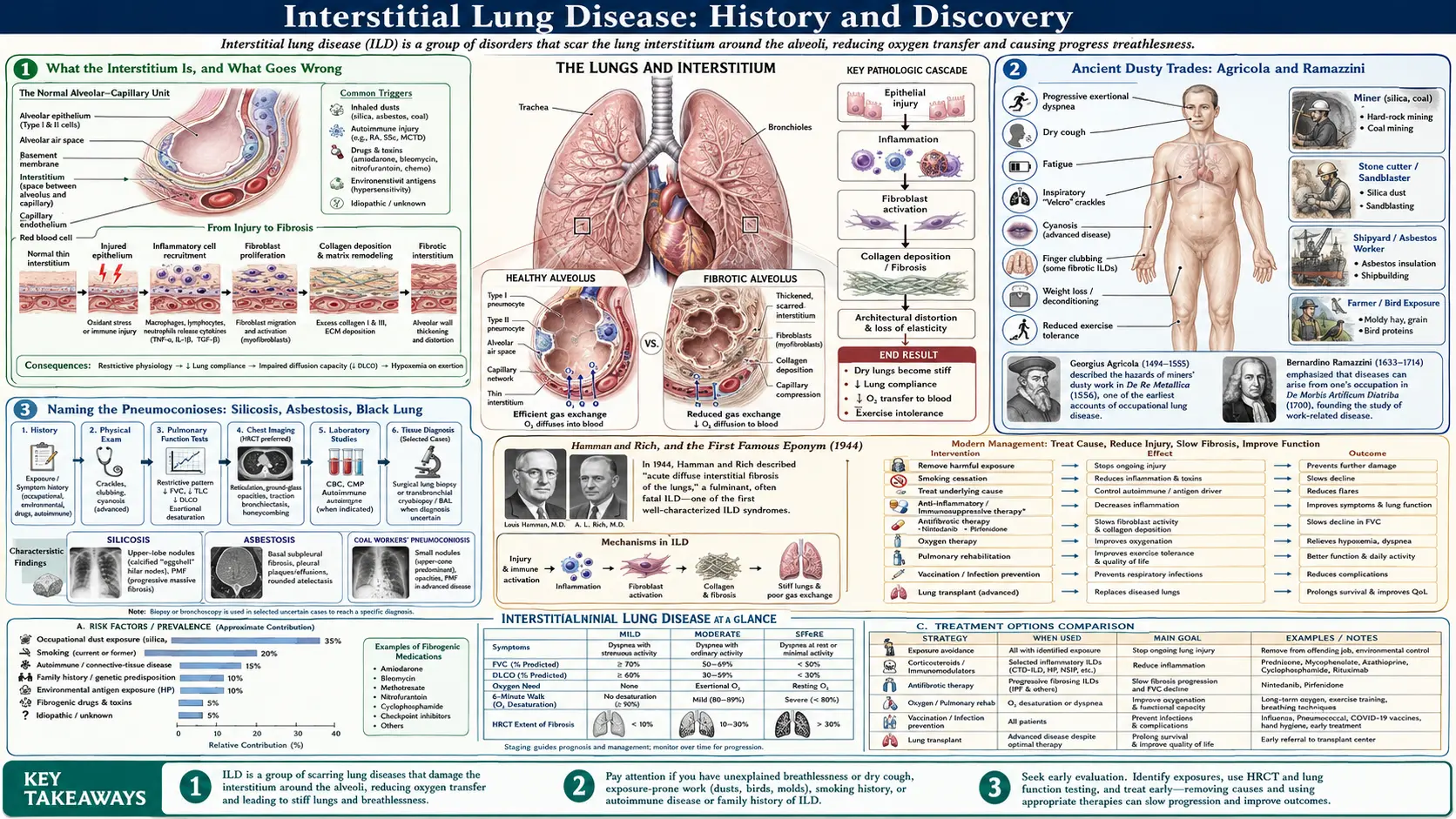 History — scientific infographic poster