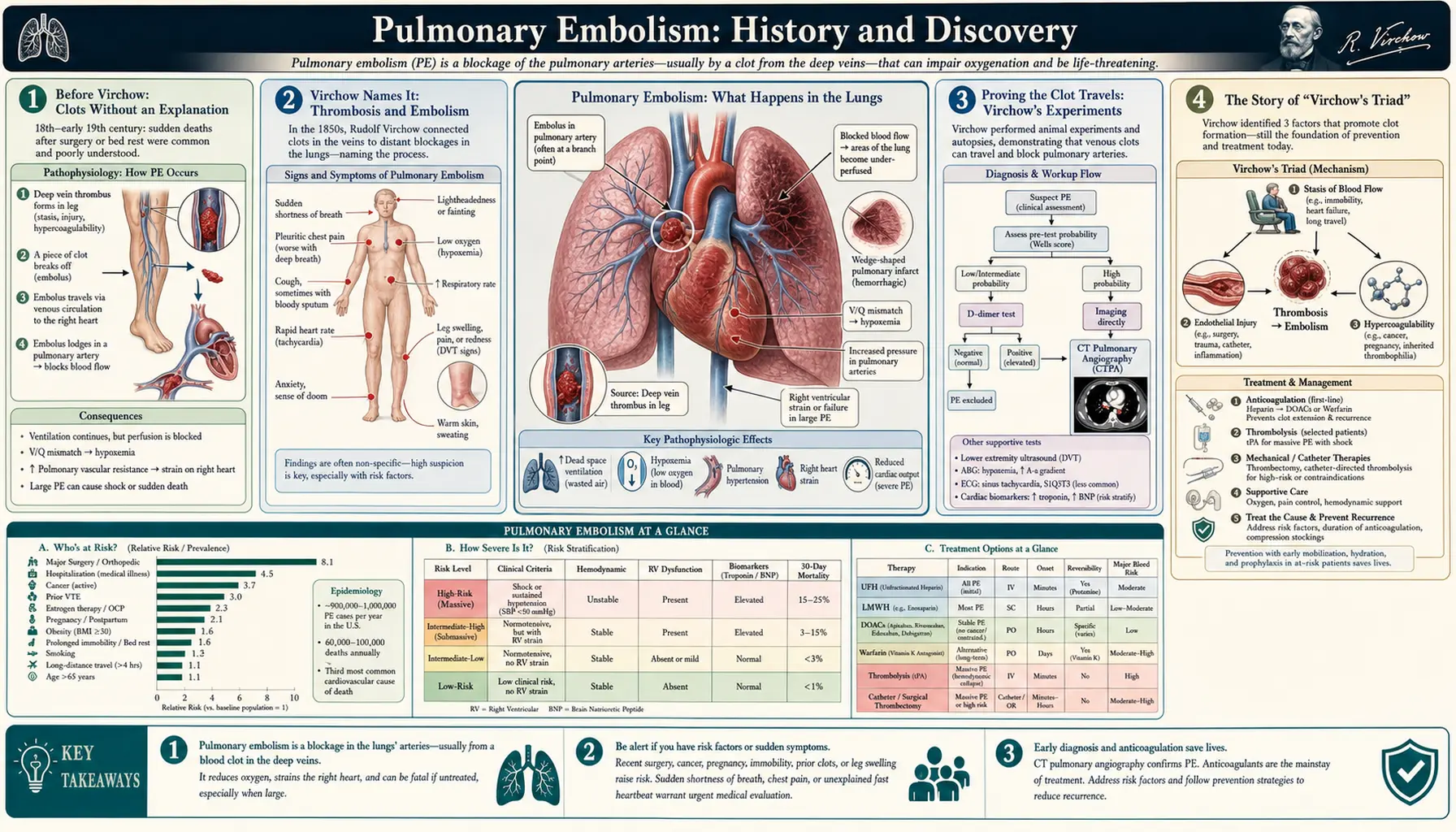History — scientific infographic poster