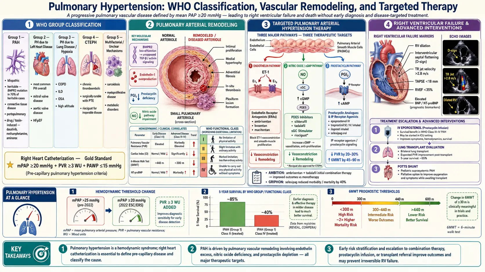 Pulmonary Hypertension — scientific infographic poster