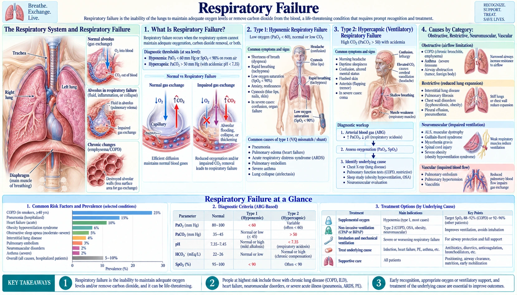 Respiratory Failure — scientific infographic poster