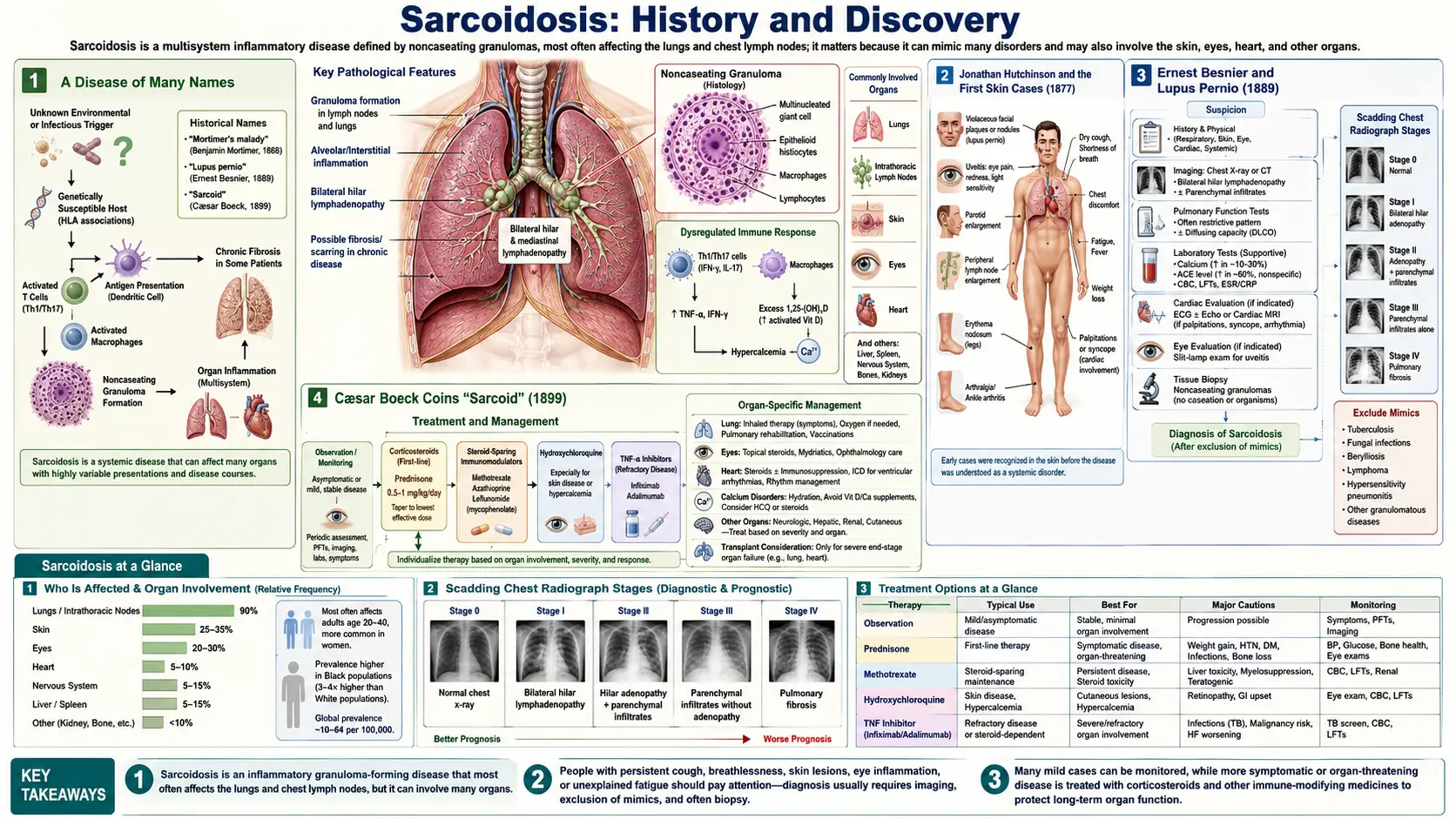 History — scientific infographic poster