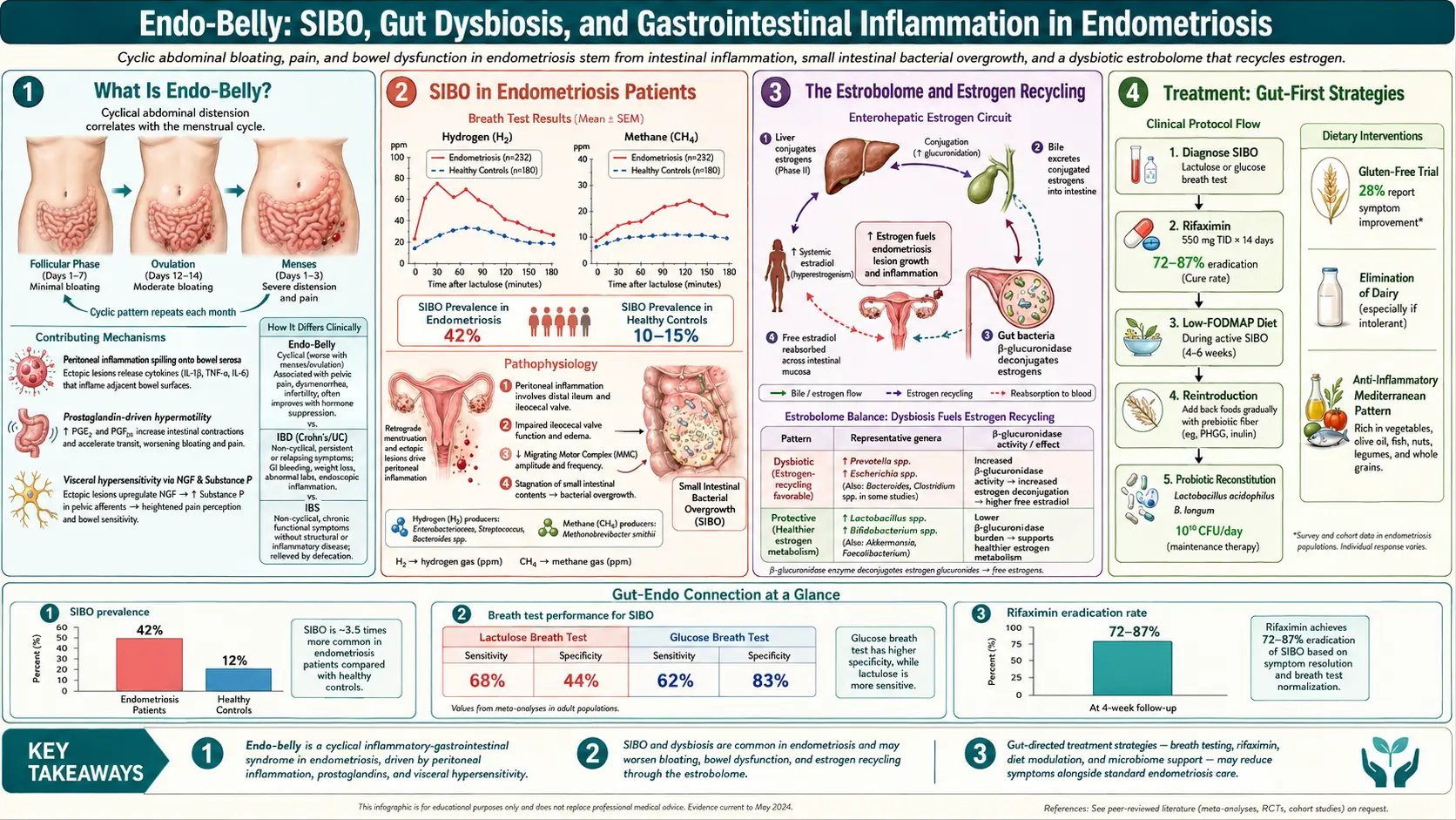 Endo Belly and Gut Connection — scientific infographic poster