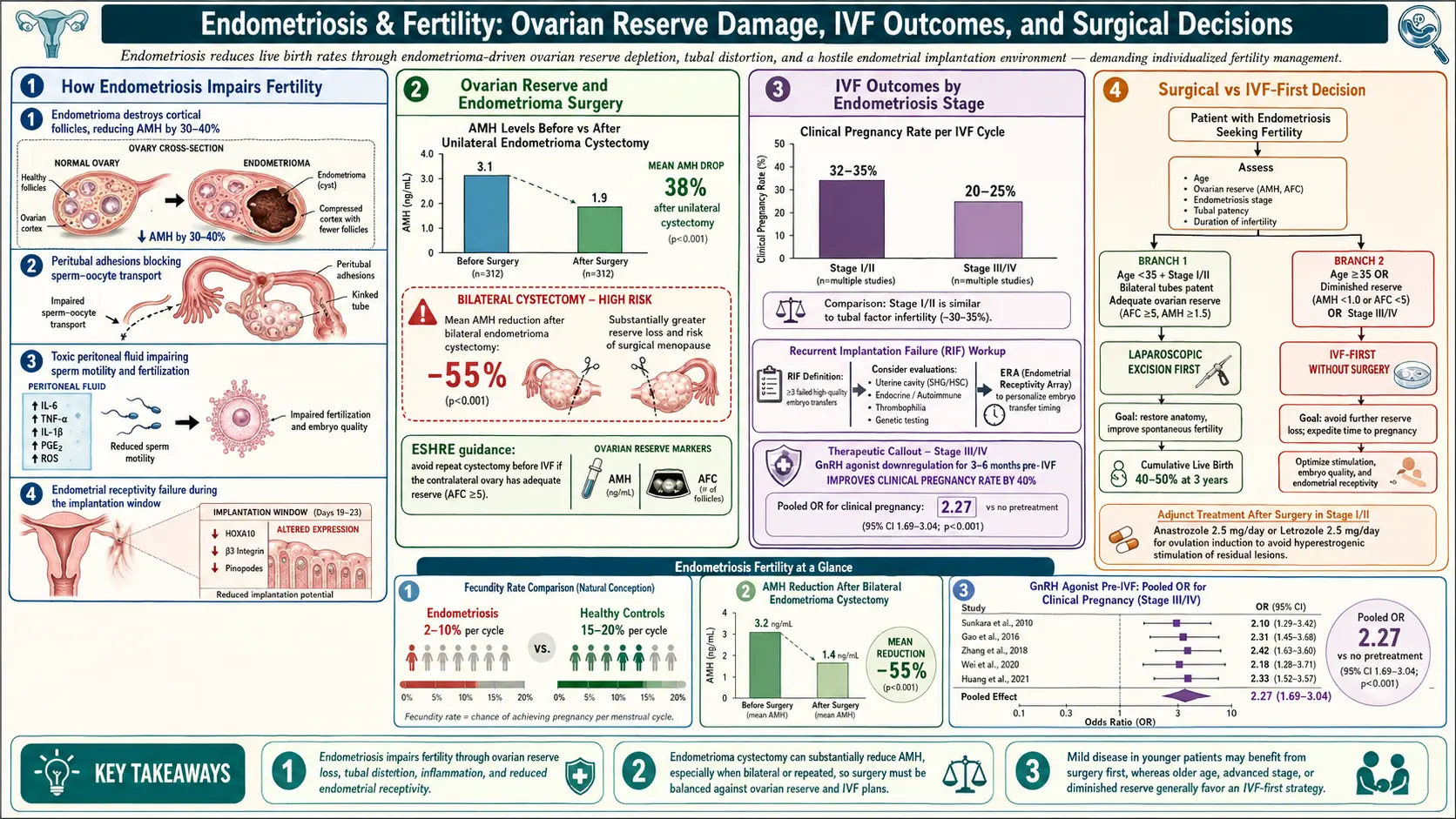 Fertility and Endometriosis — scientific infographic poster
