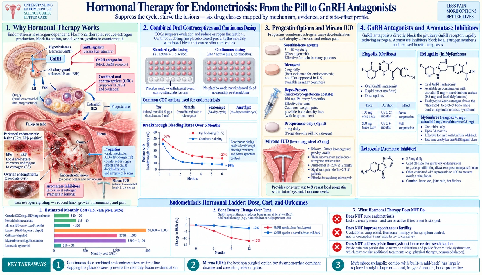 Hormonal Therapy Options — scientific infographic poster