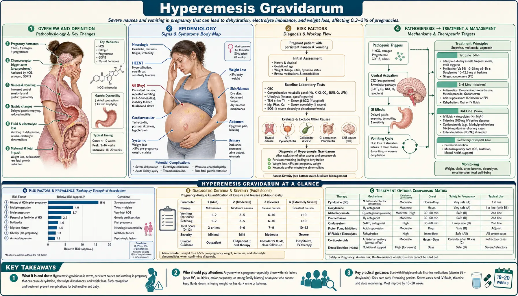 Hyperemesis Gravidarum — scientific infographic poster