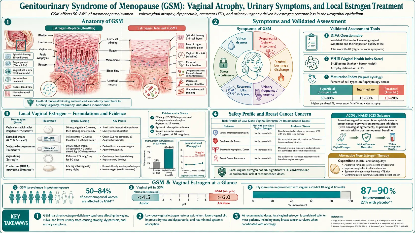 Genitourinary Syndrome of Menopause and Vaginal Estrogen — scientific infographic poster