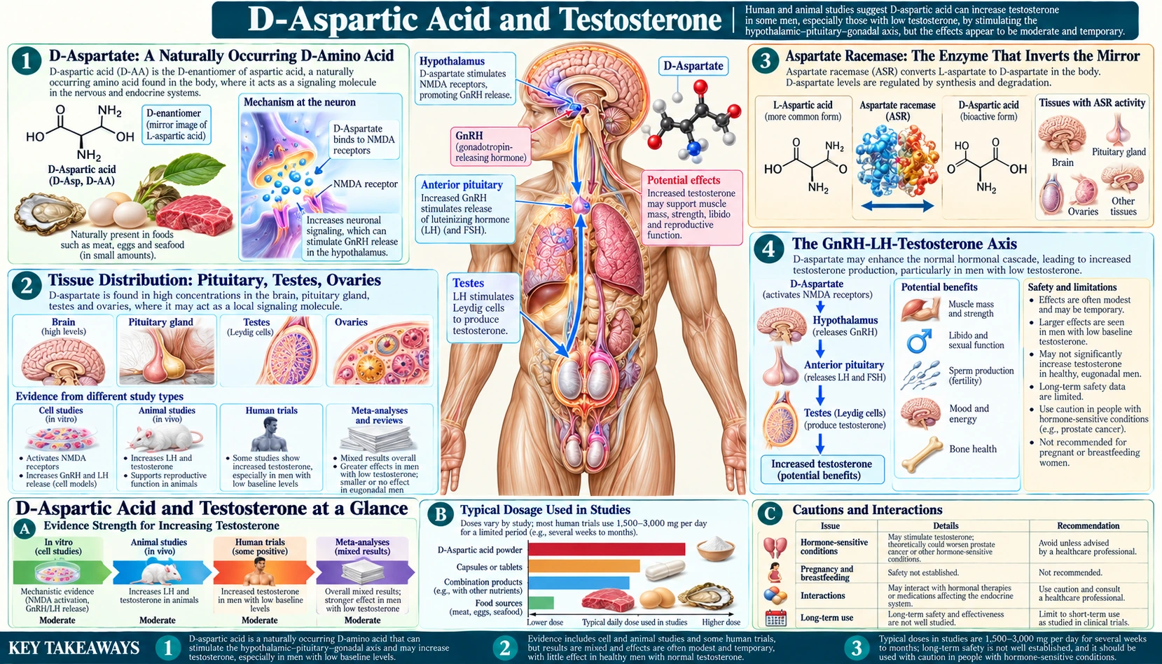 History — scientific infographic poster