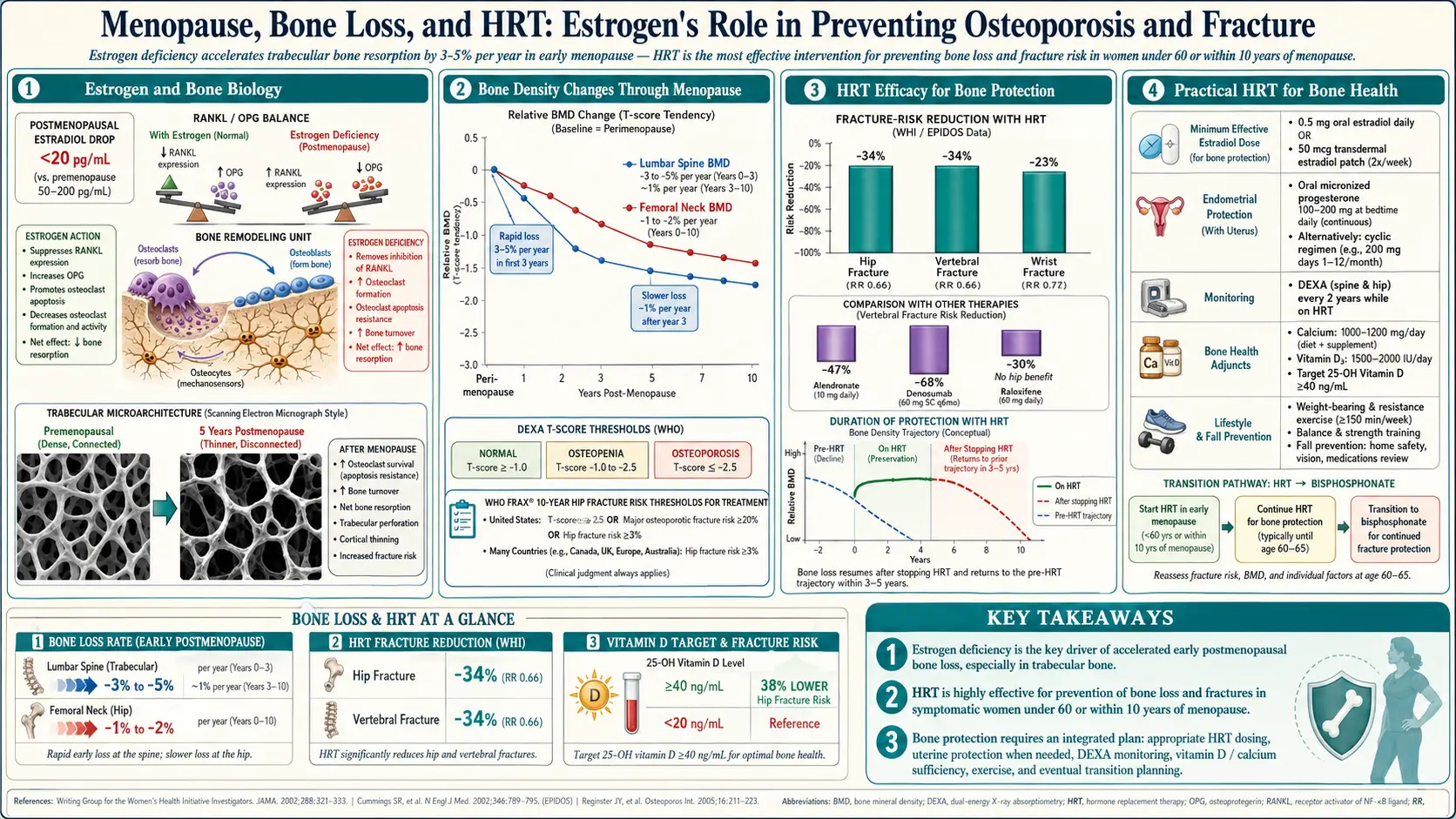 Bone Loss Prevention and hormone replacement therapy — scientific infographic poster
