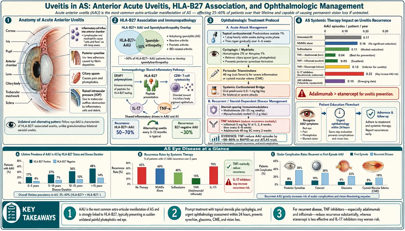 Uveitis and Eye Involvement — scientific infographic poster