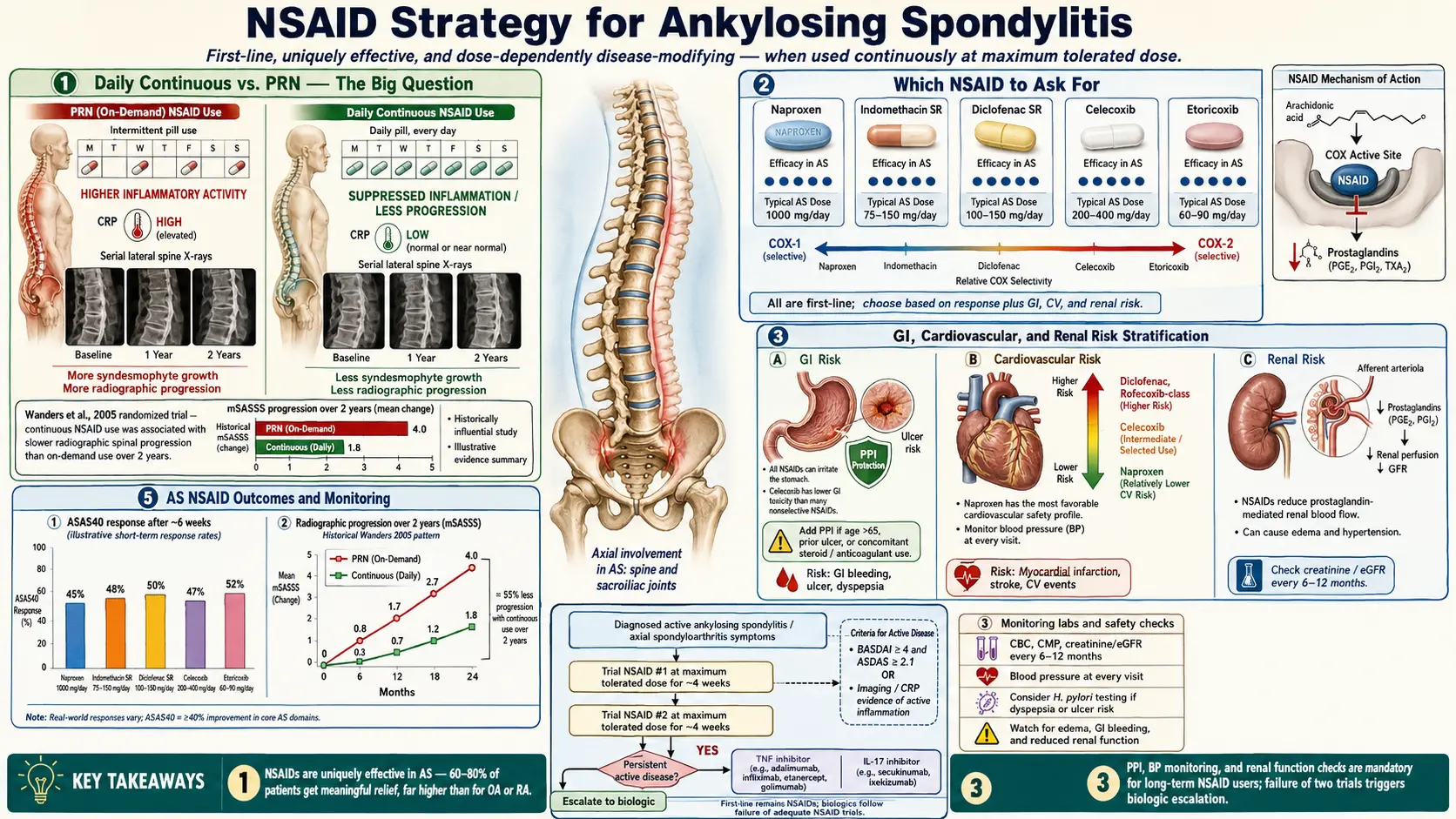 Nonsteroidal anti-inflammatory drug Strategy — scientific infographic poster