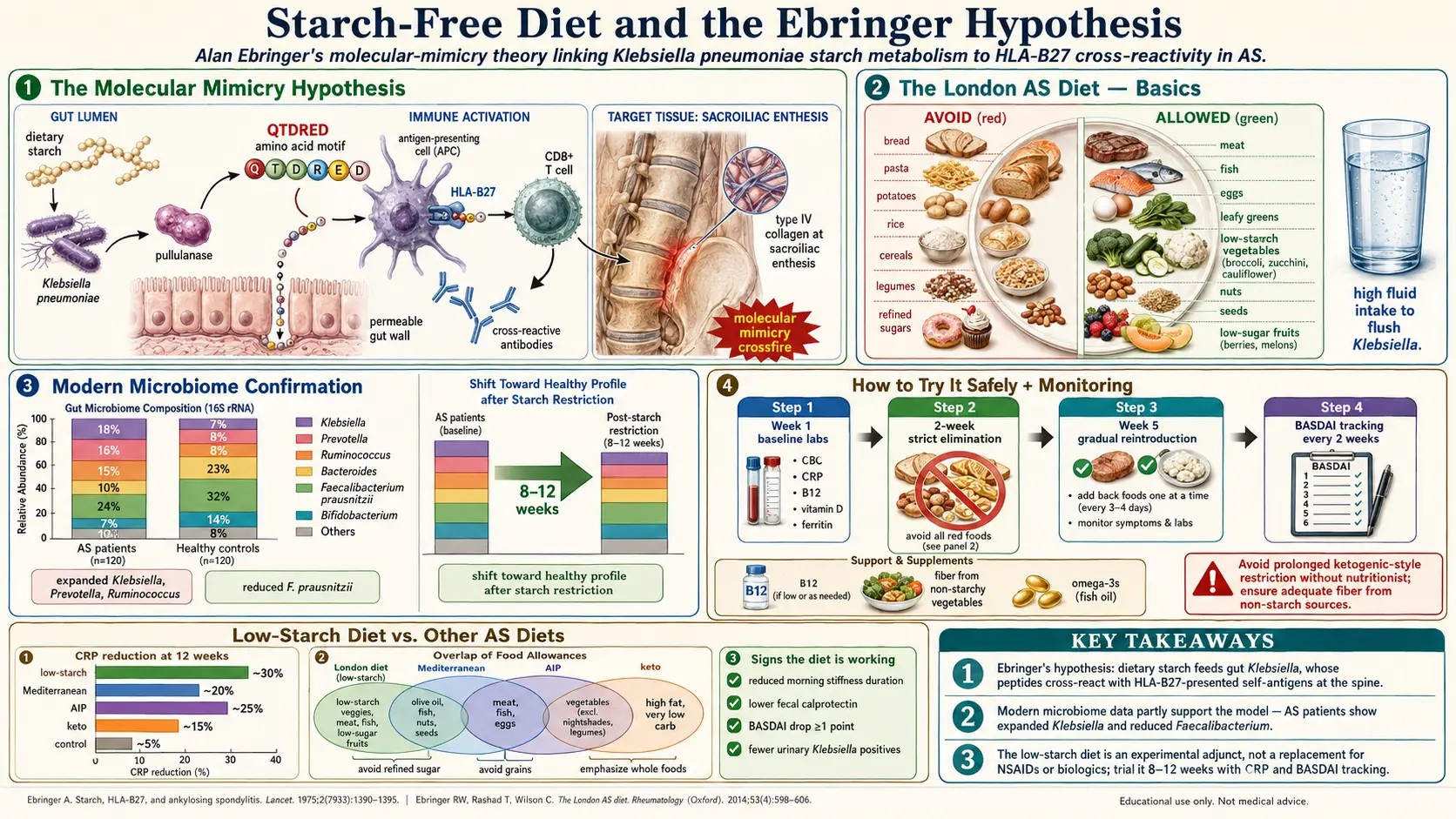 Starch-Free Diet and the Ebringer Hypothesis — scientific infographic poster