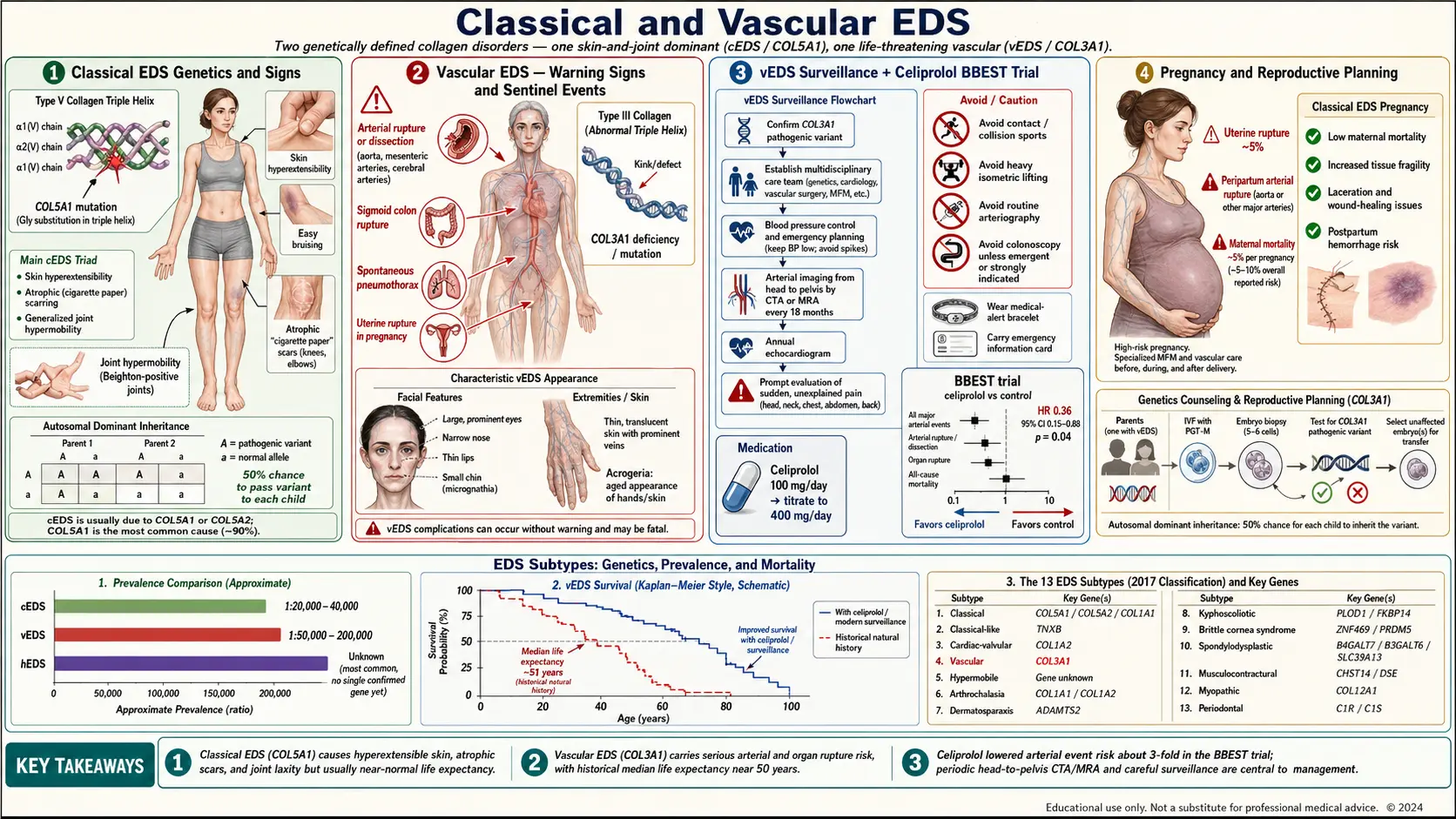 Classical and Vascular EDS — scientific infographic poster