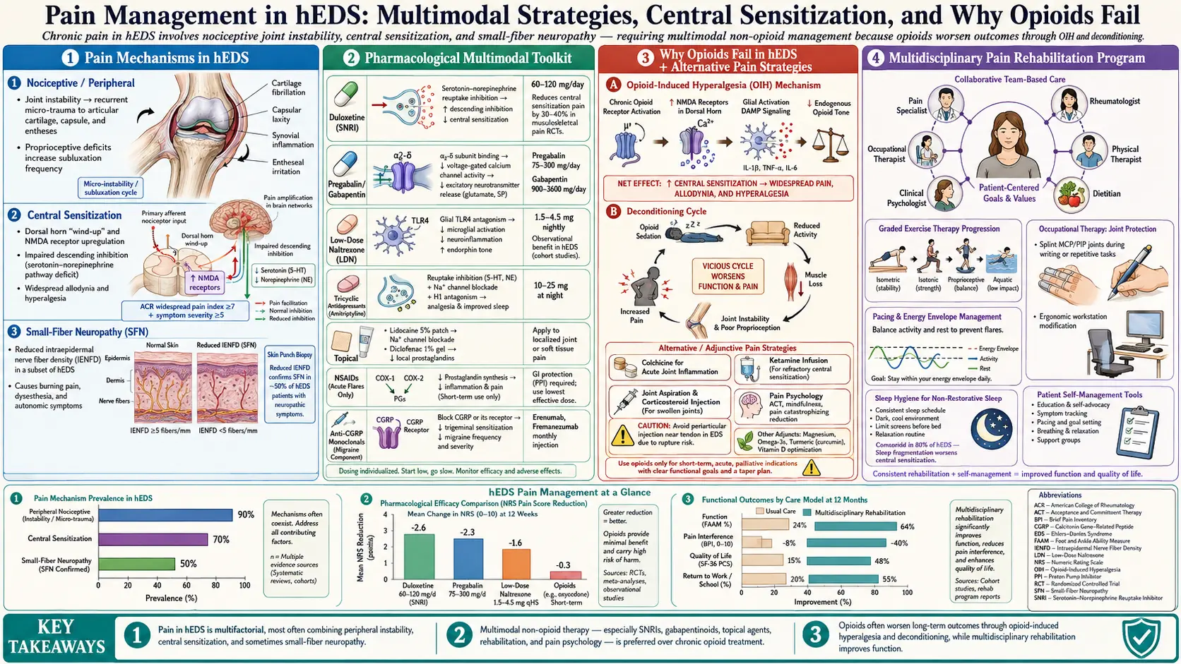 Pain Management in hEDS — scientific infographic poster