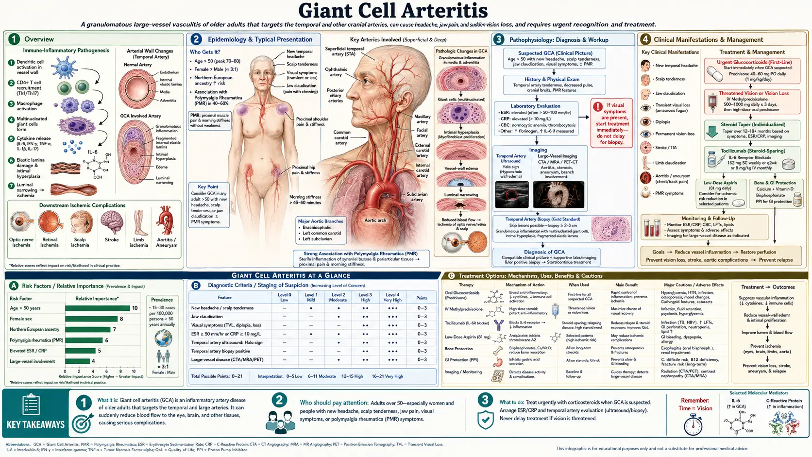 Giant Cell Arteritis — scientific infographic poster