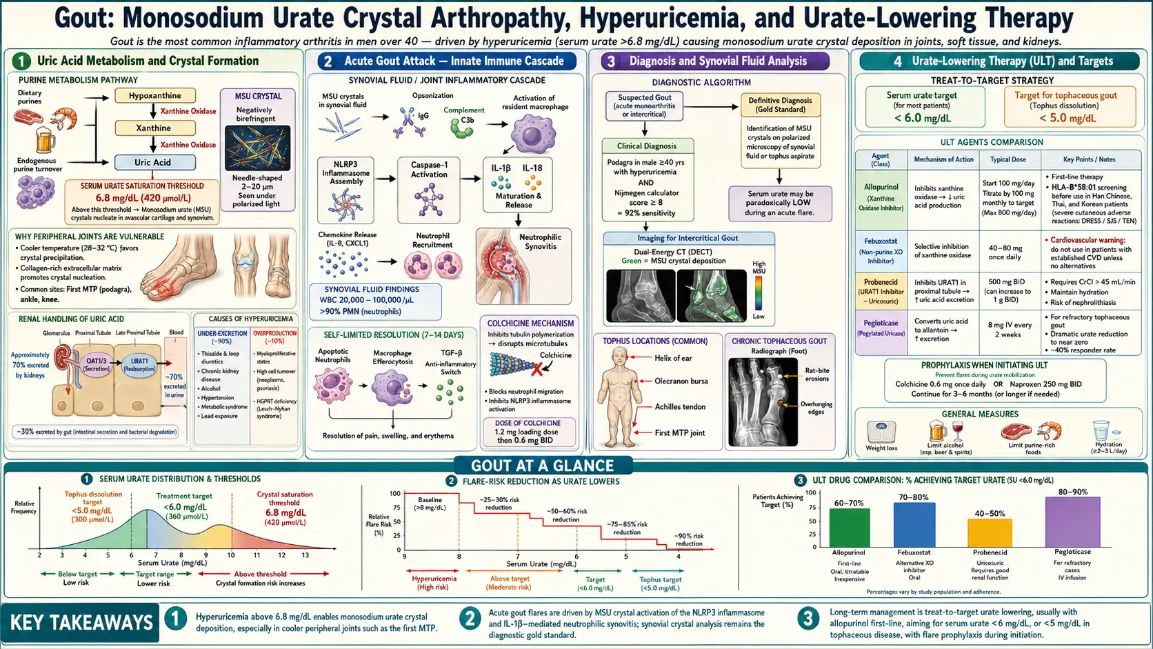 Gout — scientific infographic poster