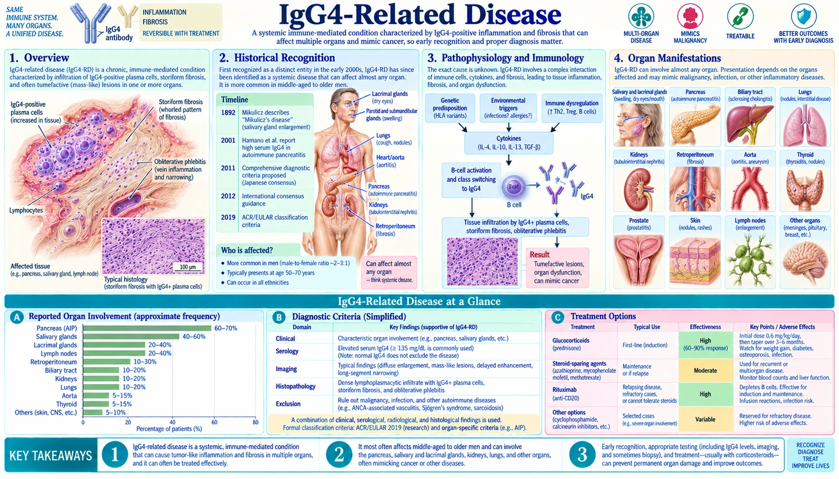 IgG4 Related Disease — scientific infographic poster