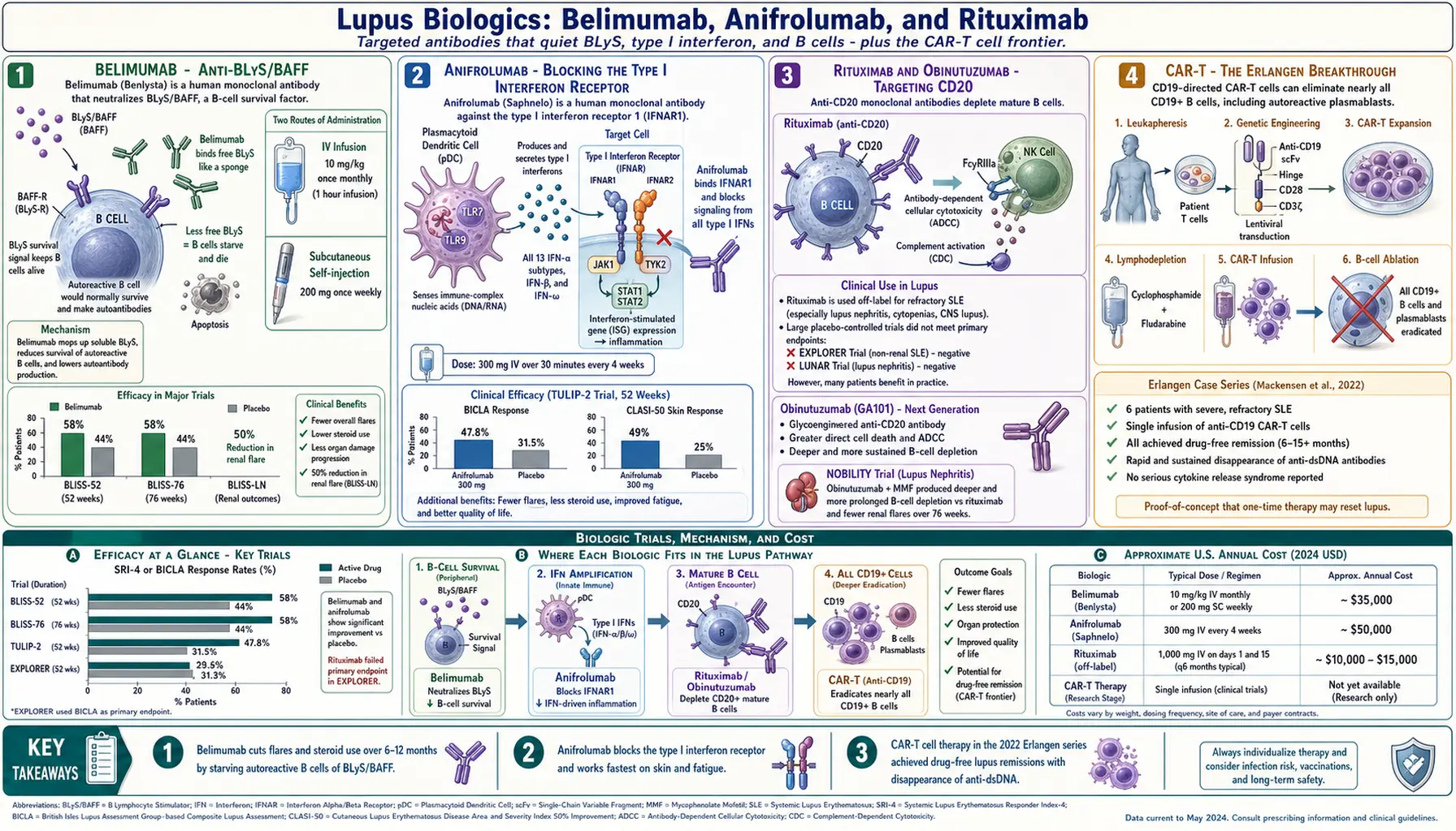 Biologics Belimumab Anifrolumab and Rituximab — scientific infographic poster