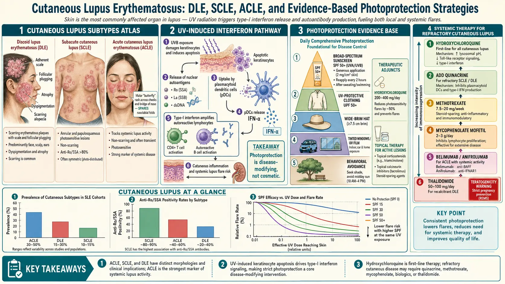 Cutaneous Lupus and Photoprotection — scientific infographic poster