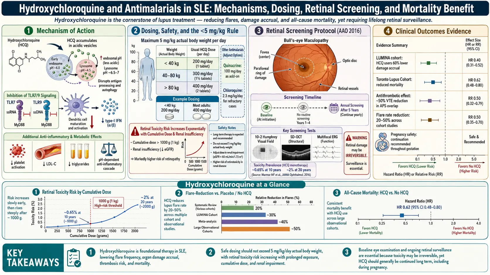 Hydroxychloroquine and Antimalarials — scientific infographic poster