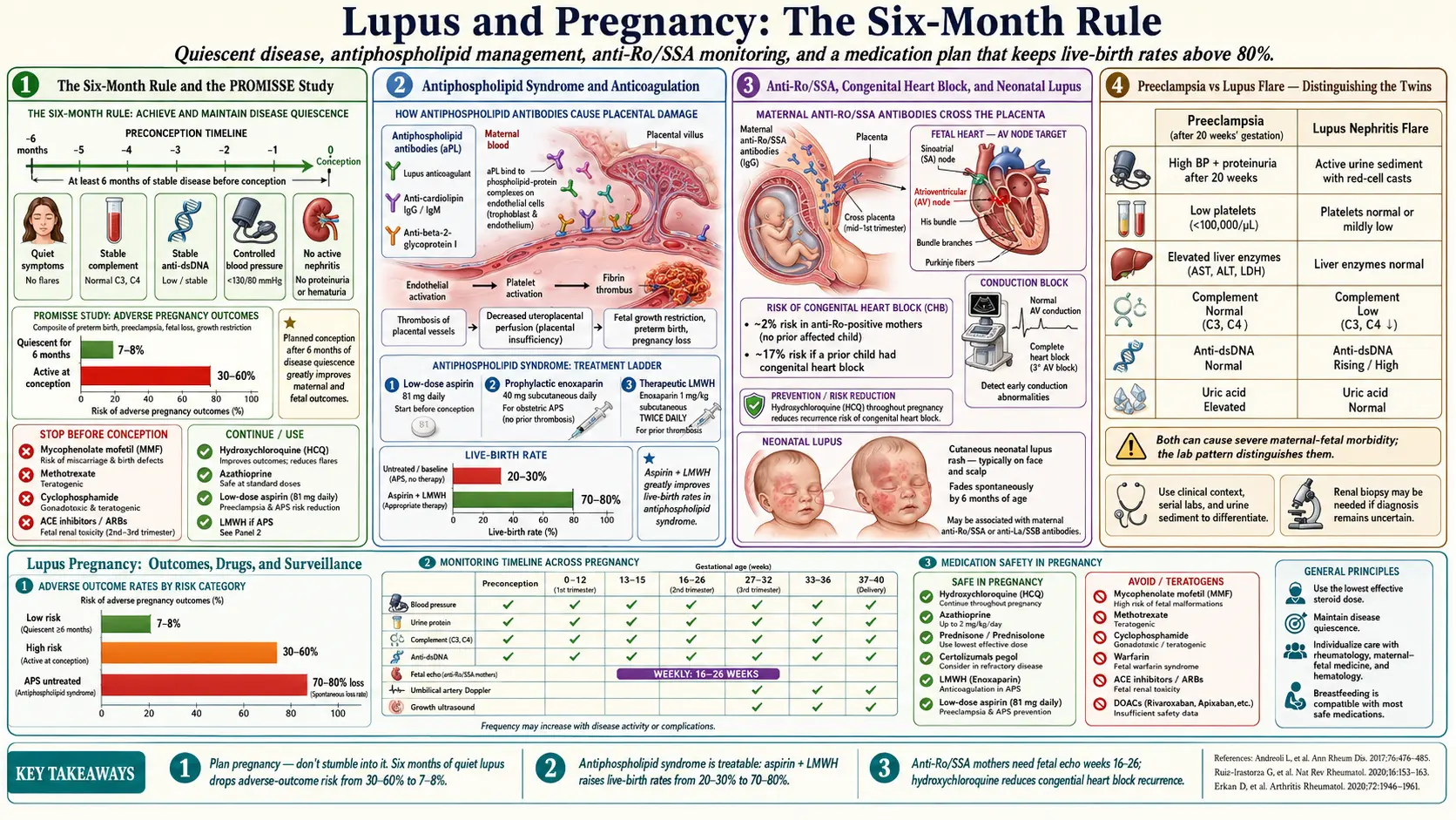 Lupus and Pregnancy — scientific infographic poster